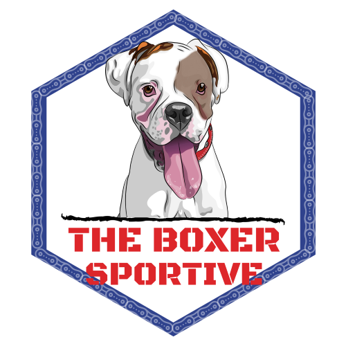 "The Boxer" 66 mile south lakes sportive