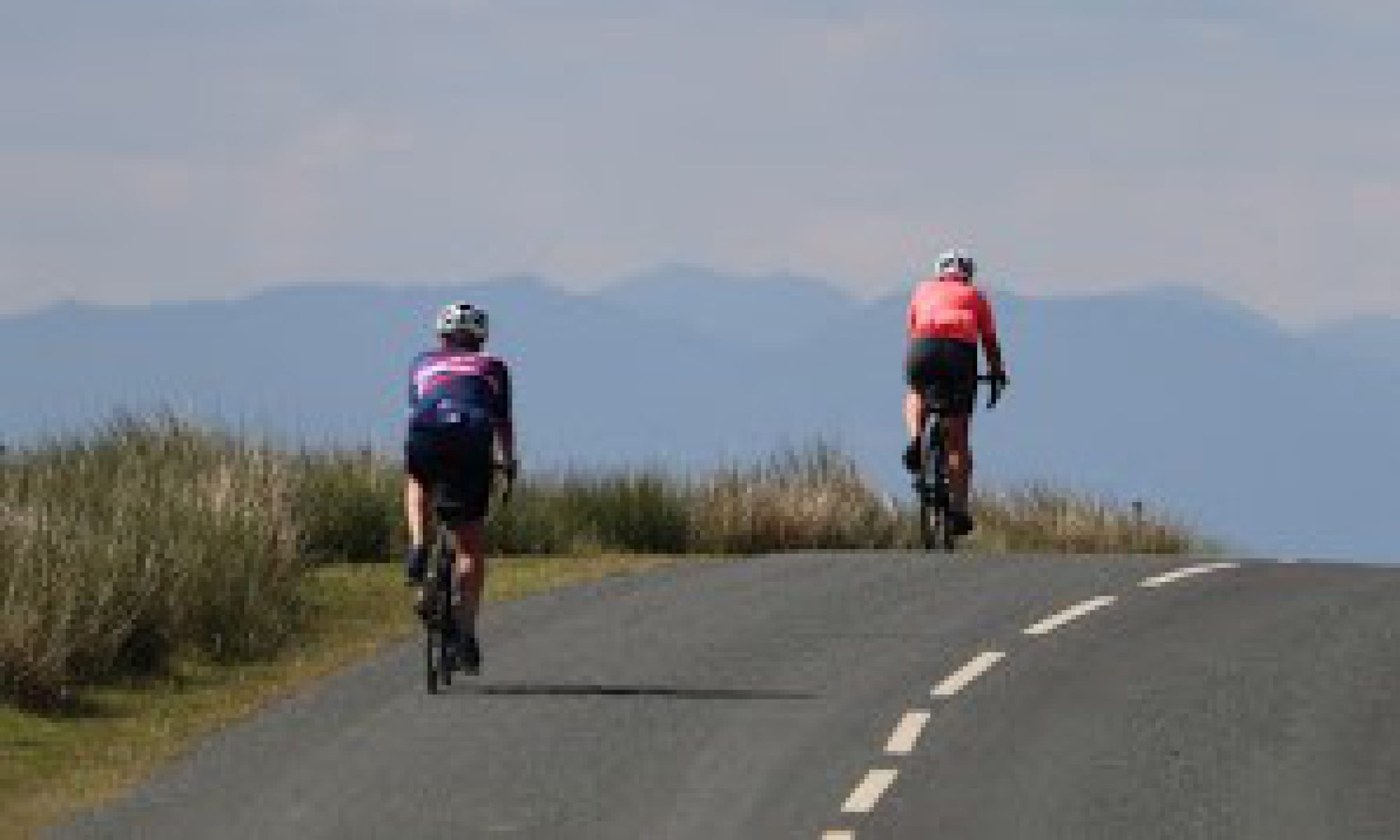 sunny cyclists